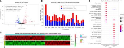 Transcriptomic signatures responding to PKM2 activator TEPP-46 in the hyperglycemic human renal proximal epithelial tubular cells